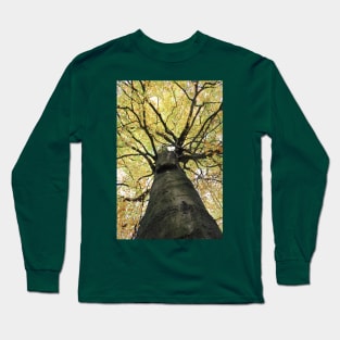 Treetop from Below Long Sleeve T-Shirt